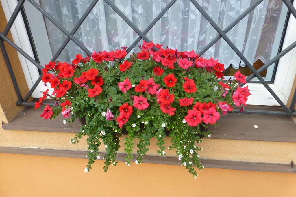 Banská Štiavnica Ubytovanie Na Frantsachte מראה חיצוני תמונה